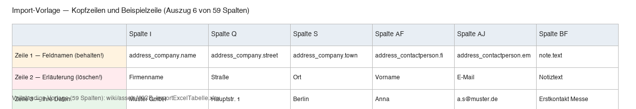 Import-Vorlage: Feldnamen, Erläuterung (löschen), Beispieldaten